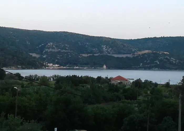 Andric *